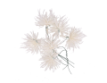 MYH195871-1_2D_0002_large.png