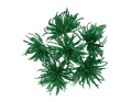 myh195871-7_2_2D_0002_large.png