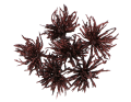 myh195871-14_2D_0002_large.png