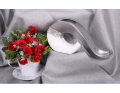 img_2D_0001_large.png