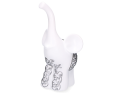 img_2D_0004_large.png