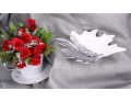 img_2D_0003_large.png