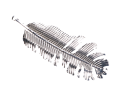img_2D_0002_large.png