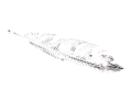 img_2D_0002_large.png