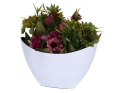 img_2D_0002.png