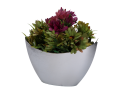 img_2D_0001.png