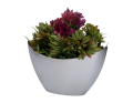 img_2D_0001_small.png