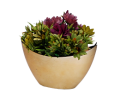 img_2D_0002_small.png