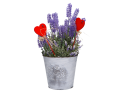 myh193521_2D_0001_large.png