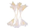 360_263_2D_0002_large.png