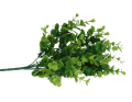 18442_2D_0002_large.png