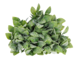 18443_2D_0002_large.png