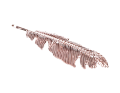 19254