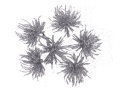 77f7210110088093e1a7642d853732f8