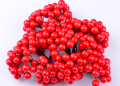 cbe66865cdedc05fcecd20979cabac35