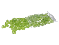 kamyki_akrylowe_myh192571-4_zielone_2D_0001_large.png