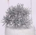 MYH195871-2_2d_0001.png