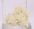 myh195871-13_2d_0006.png