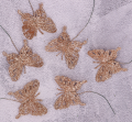 MYH478093_2d_0004.png