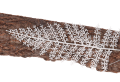 MYH190076_0001.png