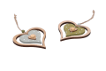 17375_2_2d_0003.png