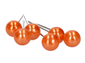 30770-2.png