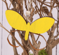 50495_0008.png