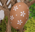 17s0855_2d_0007.png