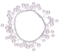 wianek_myh192728_perełki_biel_2d_0003.png