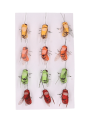 280335_0001.png