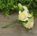 MYH197349krem_2d_0005.png