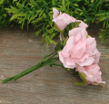 myh197349_roz_2d_0007.png