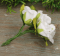 myh197349_biel_2d_0006.png