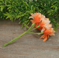 myh196019_2d_0005.png