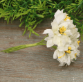 myh196019_2d_0007.png