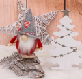 DP218-701b_2d_0003.png