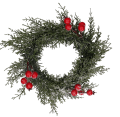 50610_0001.png
