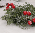 50610_2d_0002.png