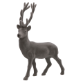50596_2d_0004.png