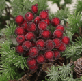 myh195981_2d_0002.png