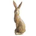 20220222_131842-removebg-preview.png