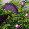 200.753_0004.png