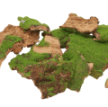 24389_0001-removebg-preview.png
