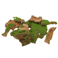 24389_0002-removebg-preview.png