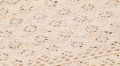 MYH479250_2d_0003.png