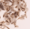 20083_0004.png
