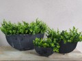 20210304_152943.jpg
