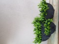20210304_153135.jpg