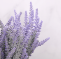 myh192112_0005.png