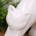 48069.png